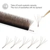 MAIXIAOQI Brown 4D W-Shaped Eyelashes Extensions 3 Tip C/D Curl High Quality Idividual Lash 240119