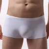 Sous-vêtements sans trace pour hommes, boxeurs d'été en soie glacée, personnalité de gaz SAO, Ultra-mince Transparent U convexe Jockstrap Sexy