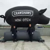 Gros ballons gonflables de porc de couleur noire de longueur de 19,7 pieds de publicité sur mesure avec logo pour l'ouverture de magasin