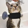Collari per cani Toelettatura animali domestici Passanti per vasca da bagno 1 pezzo e cinghia da bagno per gatti con accessori a ventosa