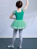 Stage Wear Green Dancer Dress Kids Girls Mesh Tutu Ballet Dance Costume Open Crotch Gymnastics Tuchard Ballerina Dancewear