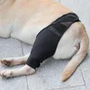 Attelle de hanche pour chiens, soutien du genou, récupération plus rapide, articulation déchirée, luxation de la rotule, arthrose, boiterie