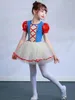 Abbigliamento da palcoscenico Vestito da ballerino per bambini Ragazza per bambini Tutu in rete Costume da ballo con apertura sul cavallo Body da ginnastica Ballerina Dancewear