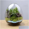 Vases Bouteilles en verre créatives en forme d'œuf Succent Vase hydroponique charnu Micro paysage Terrarium mousse décoration de la maison livraison directe G Otknd