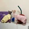 Sphynx Cat Clothes Morbido Pile Gattino Gatto Pigiama Caldo Pet Cat Tuta Felpe con cappuccio Costumi Per Sphinx Devon Cat 240130