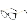 Sonnenbrillenrahmen Mode Cat Eye Optische Gläser Frauen Vintage Klare Linse Brillengestell Rezeptspektakel