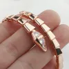 2024 Luxe hartarmband gouden armband ontwerper diamanten armbanden voor vrouwen slangensieraden roestvrij staal heren damesarmband verlovingscadeau huwelijkscadeau