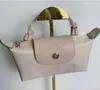 2024 bolso de diseño bolso bolso de lujo bolso para mujeres de nylon al por mayor de moda multifuncional gran capacidad de nylon