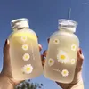 Bouteilles d'eau 480ML jus boissons verre marguerite bouteille résistant à la chaleur Transparent boire avec paille d'échelle