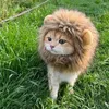 Costumi per gatti Costume per animali domestici con criniera di leone Cappello operato lavabile Divertenti gattini gattini si vestono per Halloween Cosplay