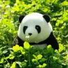 40cm Kawaii Real Life Plush Panda Toys Lovely Pillow Panda Stuffed Soft Simulation Animal Bear Doll Birthday Gift for Children 240202