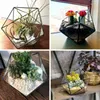 Smyckespåsar Guld Geometriska terrarium Planter Pentagon Container Modern Decor Display Flower Pot For Succulent Plant