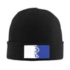 Berets Zeta Phi Beta Logo Skullies Beanies Caps Streetwear Winter Warm Männer Frauen Strickmütze Erwachsene Unisex ZOB Sorority Bonnet Hüte