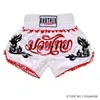 Muay Thai Shorts Geborduurde Boksshorts Mannen Vrouwen Kind Jongen Meisje Vechter Boxer Kooi Vechten Grappling Kickboxing Broek 240119