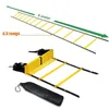 Agility Ladder Speed ​​Training Equipment 12 Disc Cones 20ft Agility Ladder Training Equipment Set for Football Soccer Resistance 240127