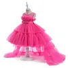 Scena noszona mała księżniczka różowa sukienka chrztunia sukienki maluchowe dziewczyny