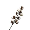 Kwiaty dekoracyjne 56 cm 8 bawełniane pąki suszone łodygi drzewa gałąź sztuczna na domowy ślub domowy