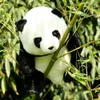 40 cm Kawaii prawdziwe życie Plush Pand Toys Piękna poduszka pandę nadziewana miękka symulacja zwierząt niedźwiedzia niedźwiedzia dar urodzinowy dla dzieci 240202