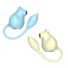 2 in 1 Eekhoorn Zuigen Vibrator voor Vrouwen GSpot Clitoris Stimulatie Vibrerende Ei Masturbator 10 Trillen Zuigen Modi Seksspeeltjes 240202