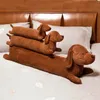 110cm longo dachshund brinquedo de pelúcia macio dos desenhos animados animal husky raposa shiba inu boneca nap travesseiro sofá almofada meninas presente de aniversário 240123