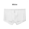 Underpants Men Sexy Transparent Boxers Summer Thin Mesh Underwear Breathable Seamless Panties Male Mid-rise Ice Silk Briefs