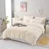 Plush Duvet Cover Pillowcase Warm And Cozy Bedding Three-Piece Set of Skin-friendly Fabric for Single And Double Beds 240127