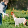 Abbigliamento per cani Maglietta piccola Abbigliamento femminile Abbigliamento Gilet a T per animali domestici a righe senza maniche per gatti