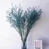 Fleurs décoratives 30-35g, herbe sèche pour amoureux, petit Bouquet séché, décoration de mariage, danse préservée, décoration de maison, bougies flottantes DIY