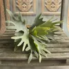 One Artificial Glossogyne Tenuifolia Grass Fake Flocking Deer Horn Staghorn Plant Plastic Greenery for Green Wall Decoration 240127