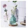 Vaso di vetro Soggiorno Fiori secchi Stile nordico Ins Vetro trasparente Aneto Accessori per la decorazione della casa Vasi di fiori per la casa 240119