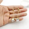 Dangle Earrings Brand Jewelry NaturalQuartz Crystal Druse Gems Jewellery Women Push Back Earring不規則な石の魅力Brinco