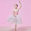 Palco desgaste 2024 menina ballet tutu vestido crianças desempenho traje criança profissional dancewear swan lago vestidos de dança para meninas