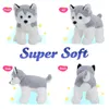 32 cm LED lumière musicale chien poupée en peluche super doux mignon PP coton animaux en peluche de haute qualité cadeau d'anniversaire pour les filles jouet 240119