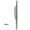 Decorative Flowers 5Pcs Artificial Pampas Grass Bouquet Tall Fluffy Reed Plant Simulation Flower Wedding Decoration Home Table Centerpiece