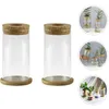 Vasi 2 set vaso idroponico regalo di fidanzamento coltura idroponica in vetro decorazione della cucina contenitore per piante verdi inaugurazione della casa