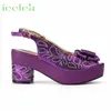 Przyjazd fioletowe buty kolorowe pasujące torby Zestaw motyla dla Nigerian Women Wedding Party Pump 240130