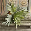 One Artificial Glossogyne Tenuifolia Grass Fake Flocking Deer Horn Staghorn Plant Plastic Greenery for Green Wall Decoration 240127