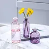 Vaso di vetro Soggiorno Fiori secchi Stile nordico Ins Vetro trasparente Aneto Accessori per la decorazione della casa Vasi di fiori per la casa 240119