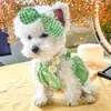 Vêtements pour chiens PETCIRCLE Vêtements Mini Green Check Sun Robe pour petit chiot Pet Cat Summer Costume Mignon Costume Jupe Manteau