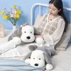 Huge Dog Plush Toys White Puppy Stuffed Dolls Kawaii Animal Room Decor Bay Window Cushion Soft Sofa Pillows Child Birthday Gift 240202