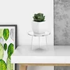 Placas decorativas acrílico plantador suporte redondo claro vaso de flores exibição decoração para casa para plantas de interior vasos de mesa
