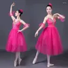 Stadiumkleding Volwassen Wit Zwanenmeer Balletdansjurk Vrouwen Ballroom Romantische Tutu Dansoutfits Partij