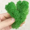 100200500G Wysokiej jakości rośliny symulacyjne wieczne życie Moss Immortal Green Fake Flower DIY Decor Walk krajobraz 240127