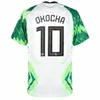 Nigeria 2024 Soccer Jerseys OSIMHEN 22 23 24 football Shirt OKOCHA SIMON LOOKMAN IHEANACHO 2018 Fans Player Version 94 96 98 Training uniform 1994 1996 1998 RETRO 18 19