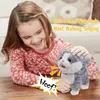 Marcher chat en peluche jouet enfant en bas âge ramper jouet d'apprentissage avec musique laisse contrôle chaton jouet électronique cadeau garçon fille faveur 066B 240119