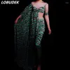 Abbigliamento da palcoscenico Tuta stampata leopardata verde Tuta da donna a maniche lunghe elasticizzata Tutina attillata Compleanno Party Outfit Nightclub Bar Costume da cantante