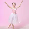 Bühne tragen 2024 Mädchen Ballett Tutu Kleid Kinder Leistung Kostüm Kinder Professionelle Dancewear Schwanensee Tanz Kleider Für Mädchen