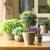 Decorative Flowers Simulation Green Plant Potted Grass Ball Ornaments Living Room Dining Table Decoration Landscape-Making Bonted Desktop