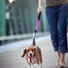 Dog Collars Flashリストバンド点点照明ブレスレットは、暗い警告灯の夜間走りで反射腕バンドの輝きを導きました