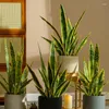 Decorative Flowers Artificial Snake Plant Sangseveriaree Perfect For Indoor And Outdoor Home Office Room Decoration As A Wwarm Gift